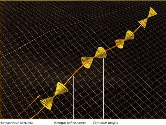 Иллюстрация к книге — Мир в ореховой скорлупке [i_061.jpg]