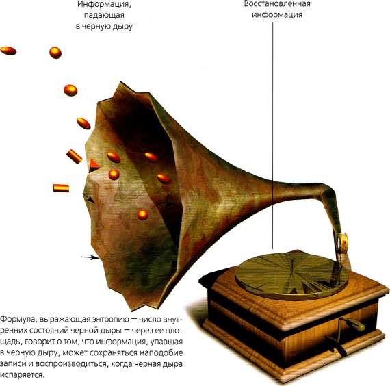 Иллюстрация к книге — Мир в ореховой скорлупке [i_064.jpg]