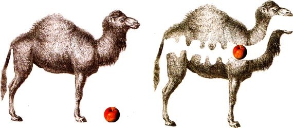 Иллюстрация к книге — Мир в ореховой скорлупке [i_093.jpg]