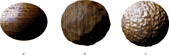 Иллюстрация к книге — Мир в ореховой скорлупке [i_100.jpg]