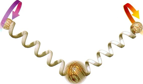 Иллюстрация к книге — Мир в ореховой скорлупке [i_132.jpg]