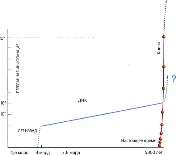 Иллюстрация к книге — Мир в ореховой скорлупке [i_172.jpg]