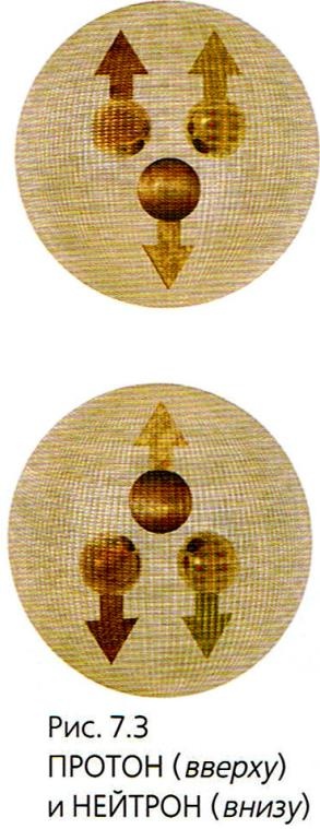 Иллюстрация к книге — Мир в ореховой скорлупке [i_185.jpg]