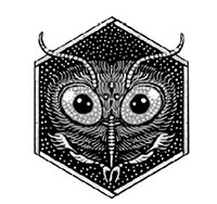 Иллюстрация к книге — Фридрих Львиный Зев верхом на шмеле [i_002.jpg]