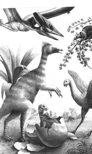 Иллюстрация к книге — Летающие жирафы, мамонты-блондины, карликовые коровы... От палеонтологических реконструкций к предсказаниям будущего Земли [i_016.jpg]