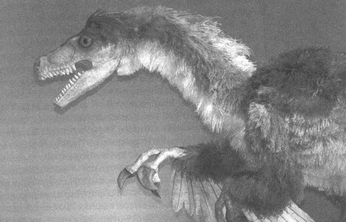 Иллюстрация к книге — Летающие жирафы, мамонты-блондины, карликовые коровы... От палеонтологических реконструкций к предсказаниям будущего Земли [i_017.jpg]