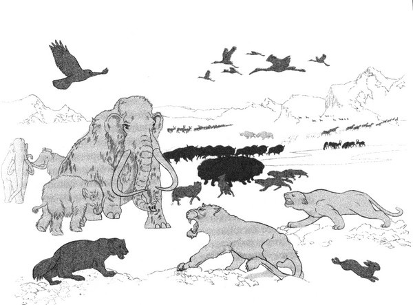 Иллюстрация к книге — Летающие жирафы, мамонты-блондины, карликовые коровы... От палеонтологических реконструкций к предсказаниям будущего Земли [i_040.jpg]