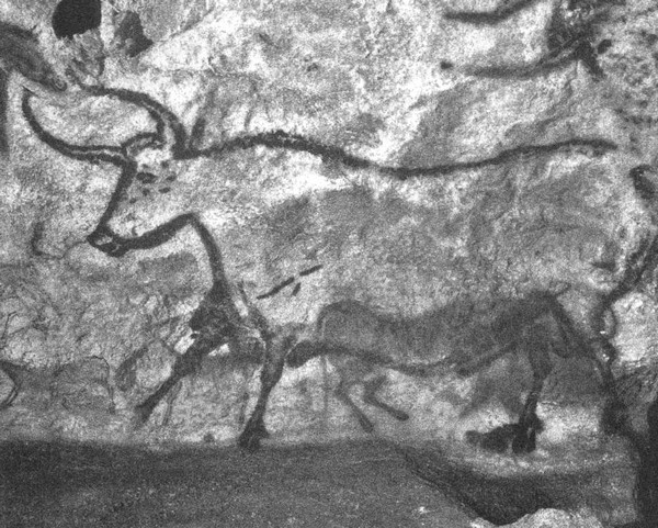 Иллюстрация к книге — Летающие жирафы, мамонты-блондины, карликовые коровы... От палеонтологических реконструкций к предсказаниям будущего Земли [i_047.jpg]