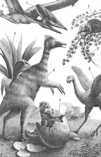 Иллюстрация к книге — До и после динозавров [mel.jpg]