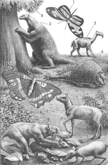 Иллюстрация к книге — До и после динозавров [neogen.jpg]