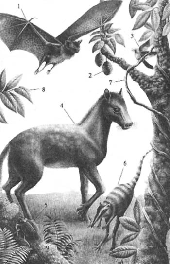 Иллюстрация к книге — До и после динозавров [paleogen.jpg]