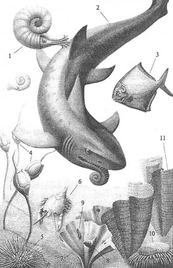 Иллюстрация к книге — До и после динозавров [perm.jpg]