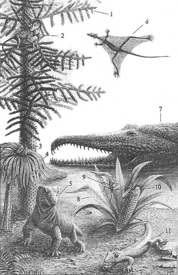 Иллюстрация к книге — До и после динозавров [trias.jpg]