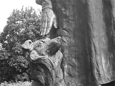 Иллюстрация к книге — Стой, кто ведет? Биология поведения человека и других зверей [i_014.jpg]