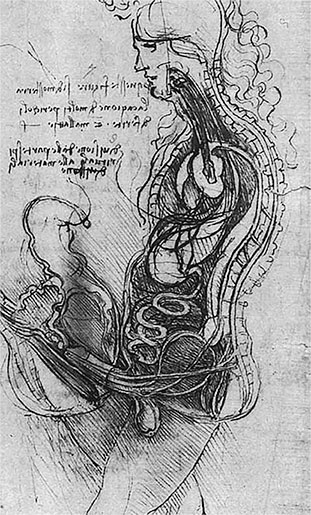 Иллюстрация к книге — Стой, кто ведет? Биология поведения человека и других зверей [i_016.jpg]