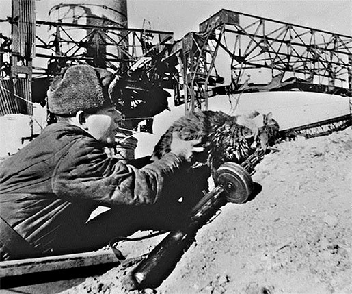 Иллюстрация к книге — Стой, кто ведет? Биология поведения человека и других зверей [i_044.jpg]