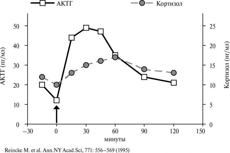 Иллюстрация к книге — Стой, кто ведет? Биология поведения человека и других зверей [i_066.jpg]