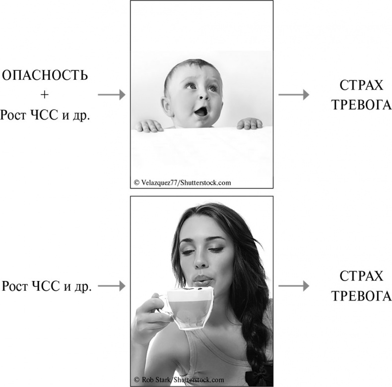Иллюстрация к книге — Стой, кто ведет? Биология поведения человека и других зверей [i_071.jpg]