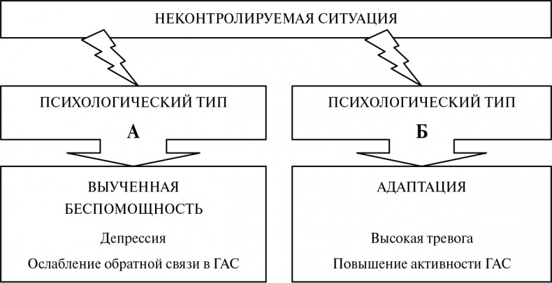 Иллюстрация к книге — Стой, кто ведет? Биология поведения человека и других зверей [i_104.jpg]