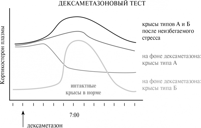 Иллюстрация к книге — Стой, кто ведет? Биология поведения человека и других зверей [i_108.jpg]