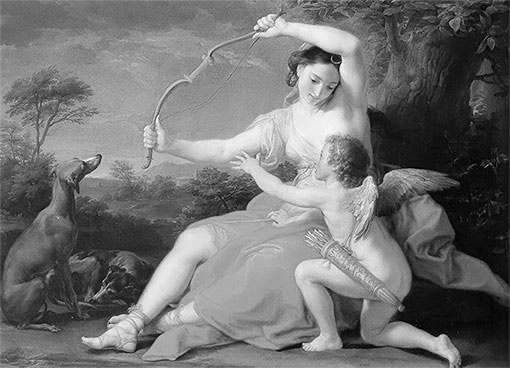 Иллюстрация к книге — Стой, кто ведет? Биология поведения человека и других зверей [i_147.jpg]