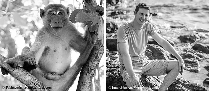 Иллюстрация к книге — Стой, кто ведет? Биология поведения человека и других зверей [i_150.jpg]