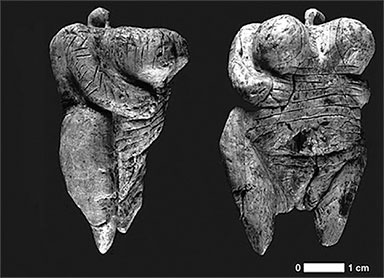 Иллюстрация к книге — Стой, кто ведет? Биология поведения человека и других зверей [i_155.jpg]