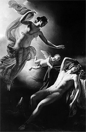 Иллюстрация к книге — Стой, кто ведет? Биология поведения человека и других зверей [i_161.jpg]