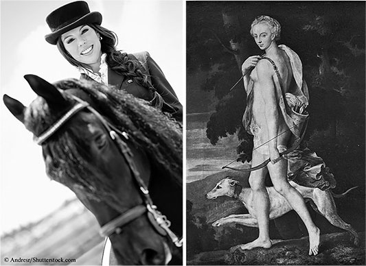 Иллюстрация к книге — Стой, кто ведет? Биология поведения человека и других зверей [i_175.jpg]