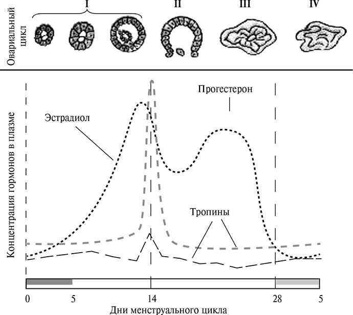 Иллюстрация к книге — Стой, кто ведет? Биология поведения человека и других зверей [i_193.jpg]