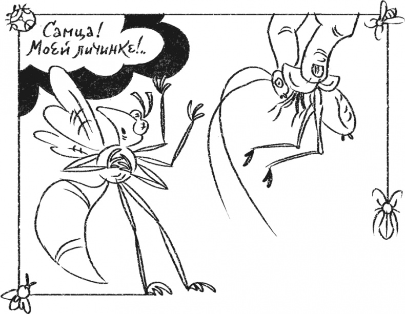 Иллюстрация к книге — Введение в поведение. История наук о том, что движет животными и как их правильно понимать [i_016.jpg]