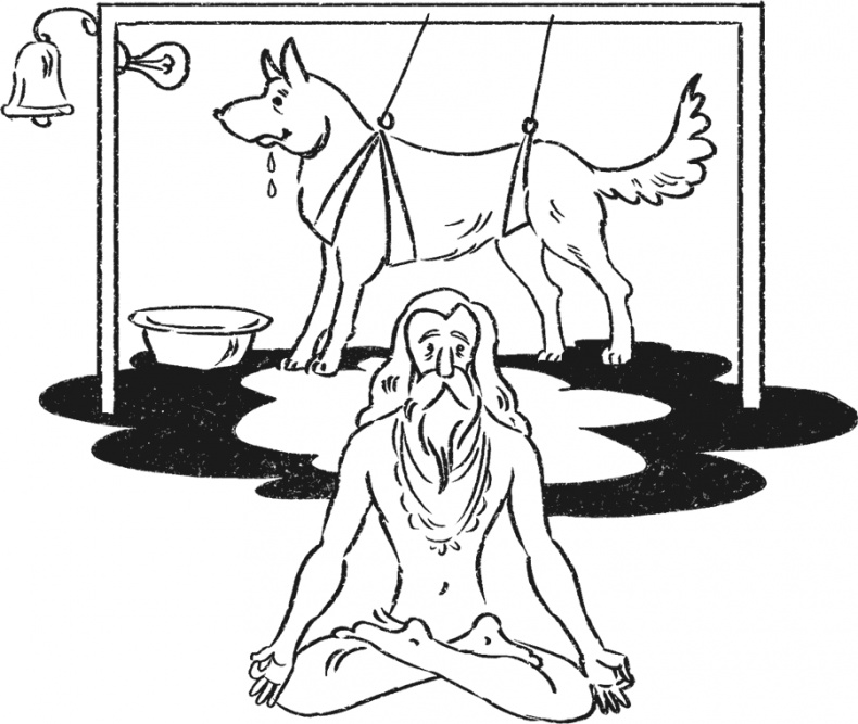 Иллюстрация к книге — Введение в поведение. История наук о том, что движет животными и как их правильно понимать [i_019.jpg]