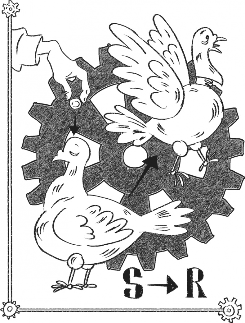 Иллюстрация к книге — Введение в поведение. История наук о том, что движет животными и как их правильно понимать [i_021.jpg]