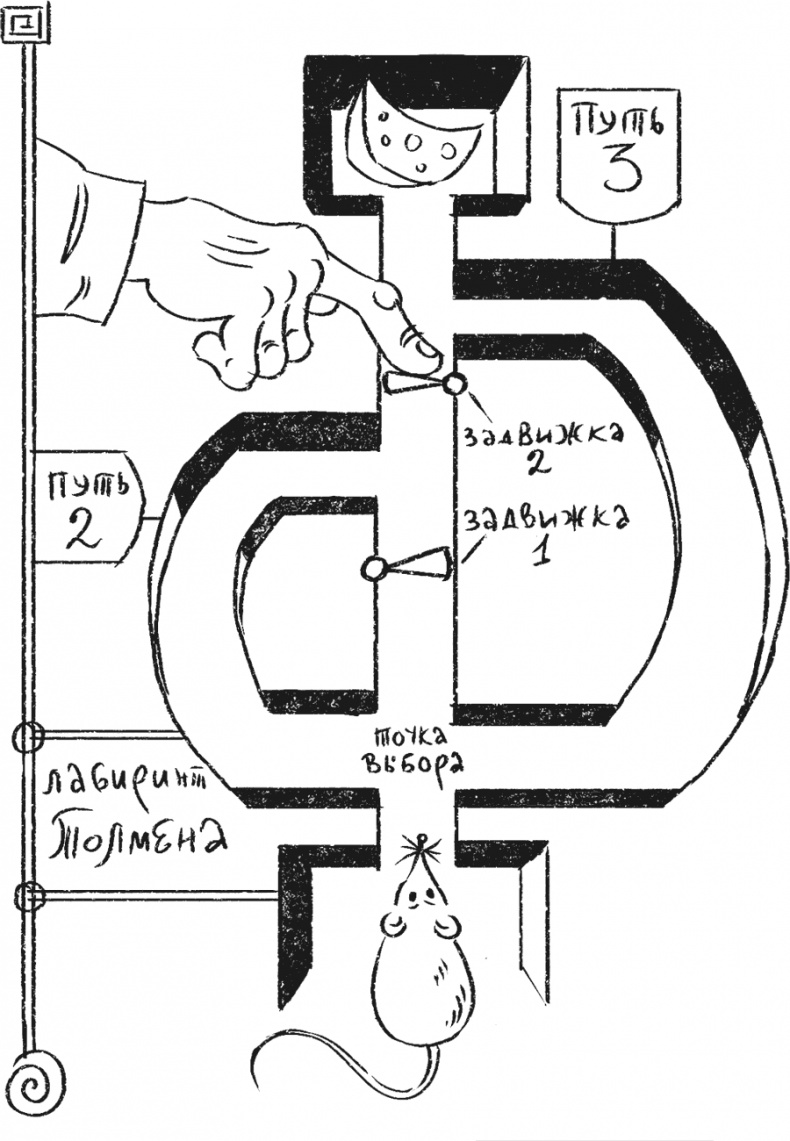 Иллюстрация к книге — Введение в поведение. История наук о том, что движет животными и как их правильно понимать [i_023.jpg]