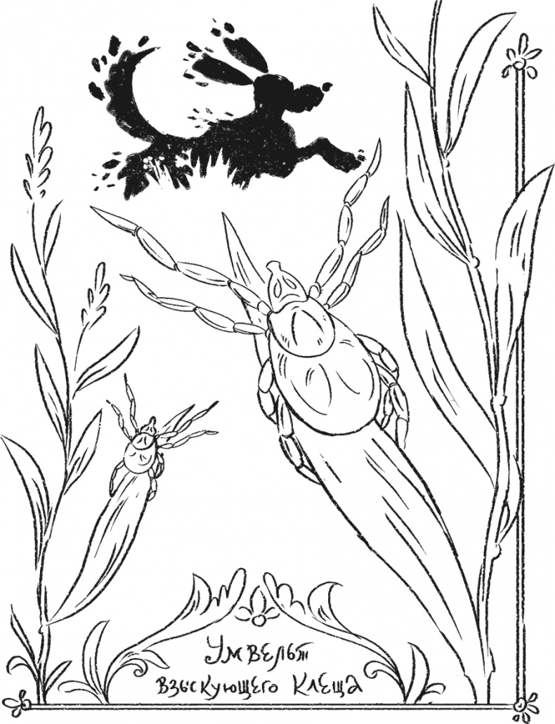 Иллюстрация к книге — Введение в поведение. История наук о том, что движет животными и как их правильно понимать [i_025.jpg]