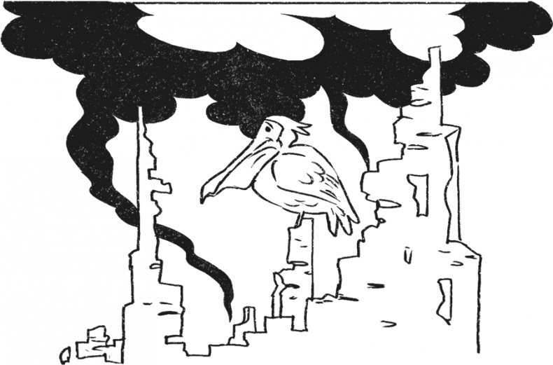 Иллюстрация к книге — Введение в поведение. История наук о том, что движет животными и как их правильно понимать [i_034.jpg]