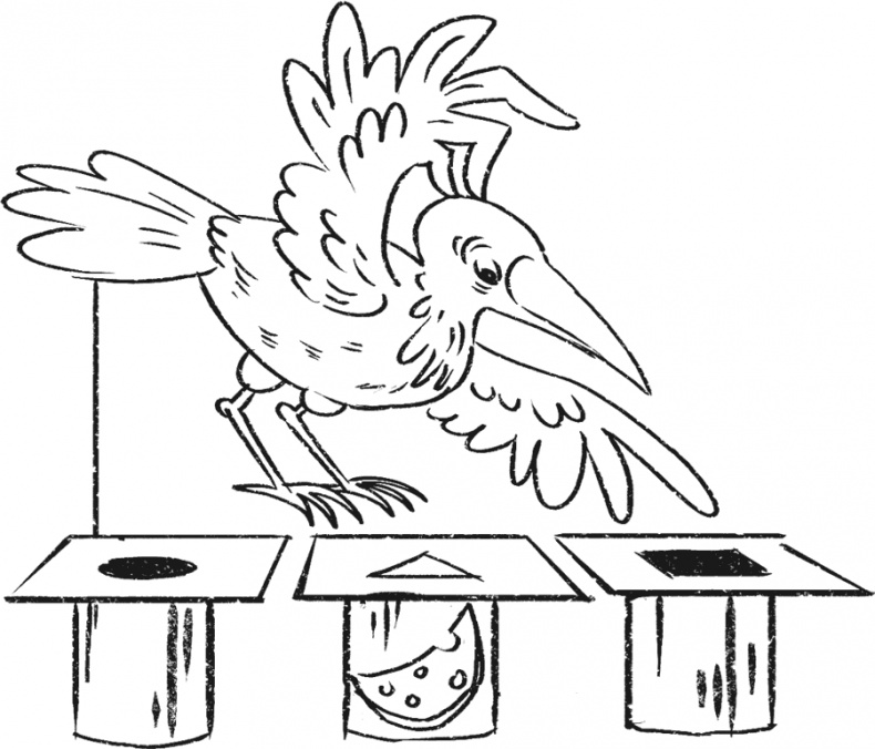 Иллюстрация к книге — Введение в поведение. История наук о том, что движет животными и как их правильно понимать [i_054.jpg]