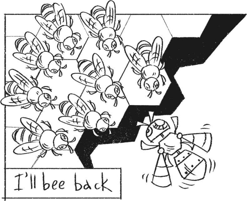 Иллюстрация к книге — Введение в поведение. История наук о том, что движет животными и как их правильно понимать [i_057.jpg]