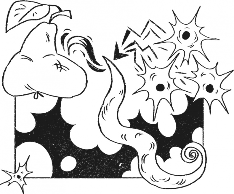 Иллюстрация к книге — Введение в поведение. История наук о том, что движет животными и как их правильно понимать [i_058.jpg]