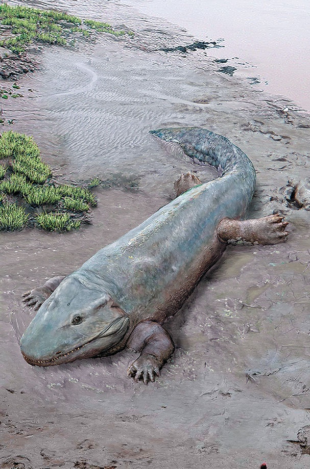 Иллюстрация к книге — Достающее звено. Книга 1. Обезьяна и все-все-все [i_041.jpg]