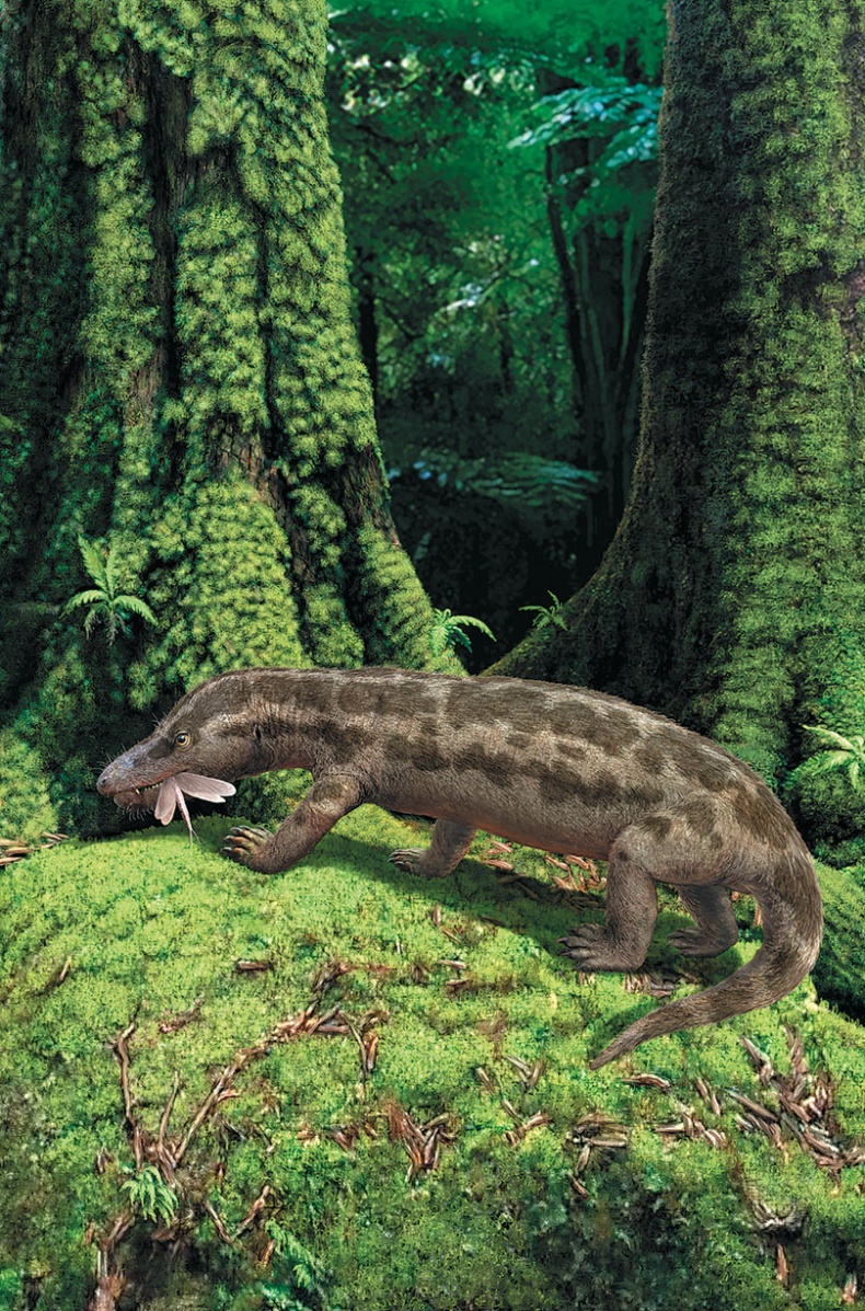 Иллюстрация к книге — Достающее звено. Книга 1. Обезьяна и все-все-все [i_042.jpg]