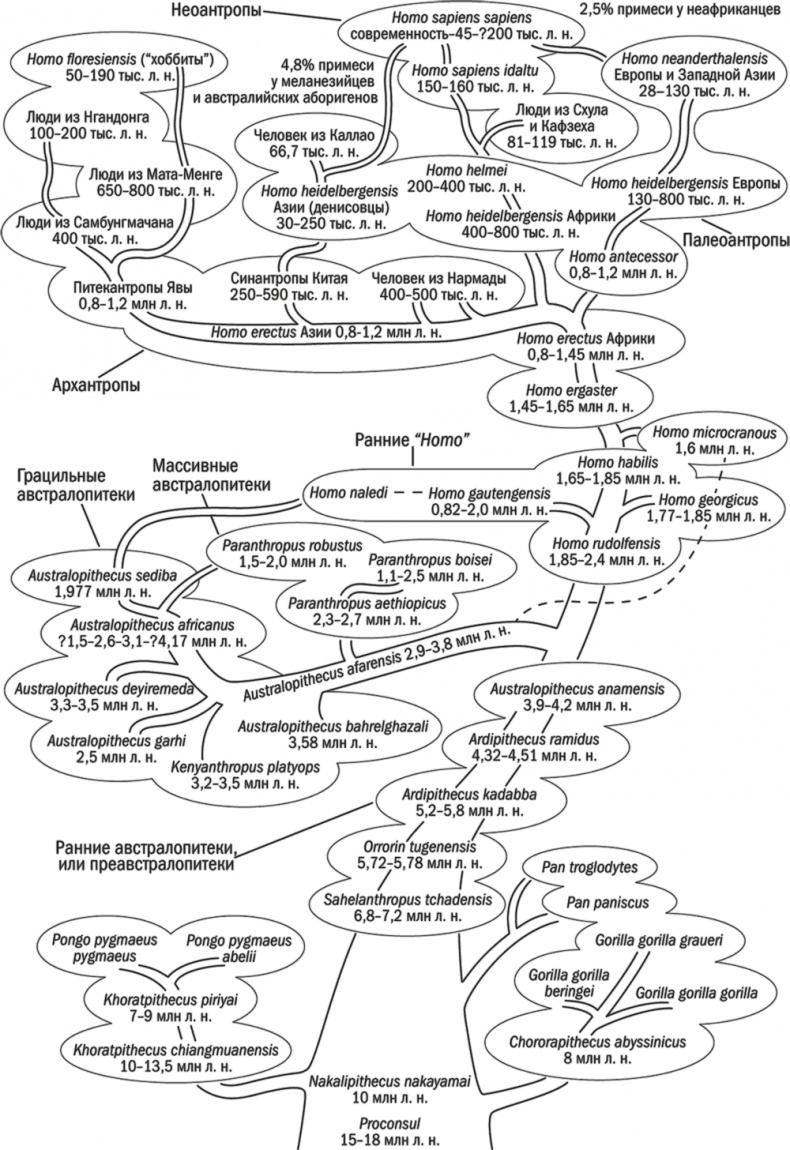 Иллюстрация к книге — Достающее звено. Книга 2. Люди [i_001.jpg]