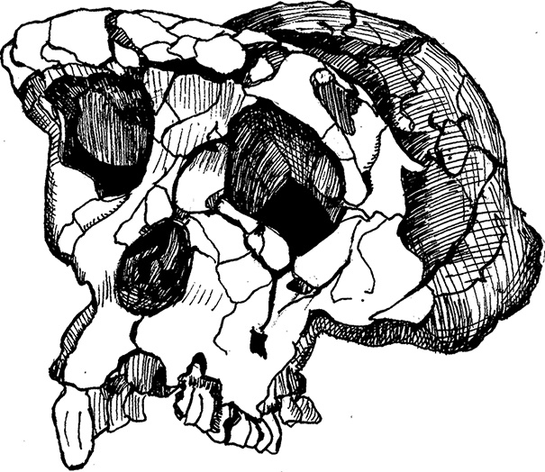 Иллюстрация к книге — Достающее звено. Книга 2. Люди [i_002.jpg]
