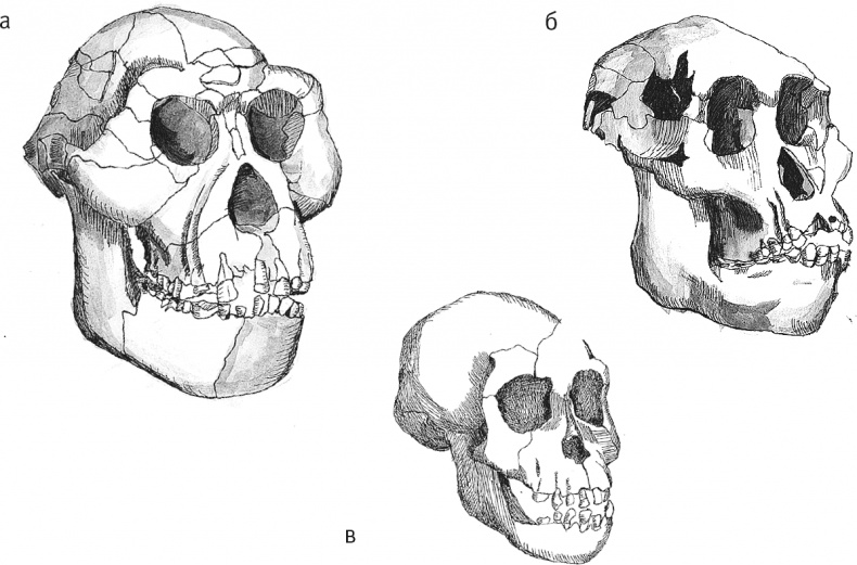 Иллюстрация к книге — Достающее звено. Книга 2. Люди [i_007.jpg]