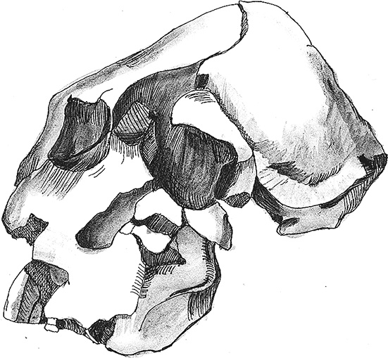 Иллюстрация к книге — Достающее звено. Книга 2. Люди [i_008.jpg]