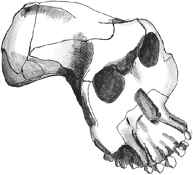 Иллюстрация к книге — Достающее звено. Книга 2. Люди [i_011.jpg]