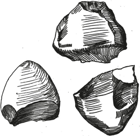 Иллюстрация к книге — Достающее звено. Книга 2. Люди [i_014.jpg]