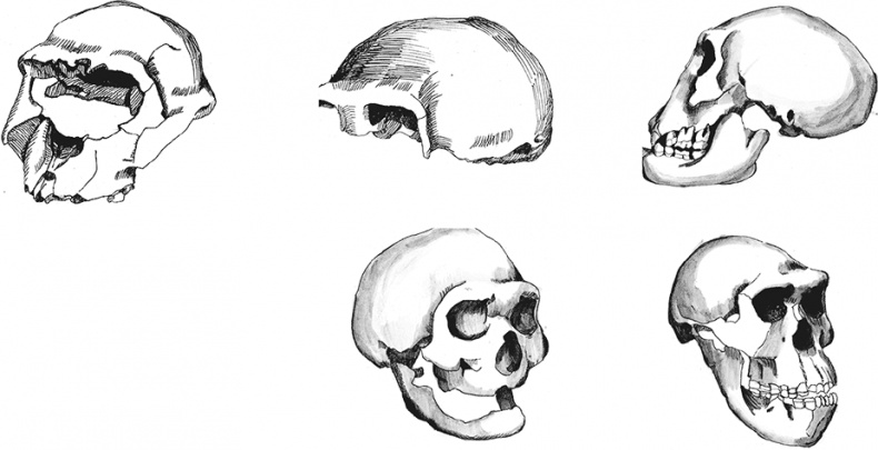 Иллюстрация к книге — Достающее звено. Книга 2. Люди [i_018.jpg]