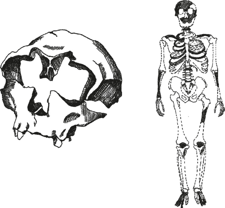 Иллюстрация к книге — Достающее звено. Книга 2. Люди [i_021.jpg]