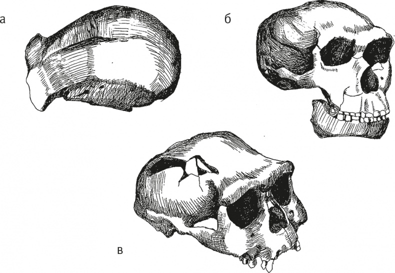 Иллюстрация к книге — Достающее звено. Книга 2. Люди [i_023.jpg]